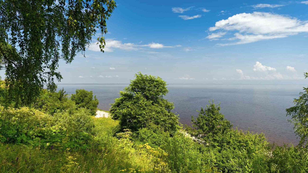 «Позерья-то теперь и нету»: как исчезающий мир Ильменского Поозерья продолжает жить в памяти людей