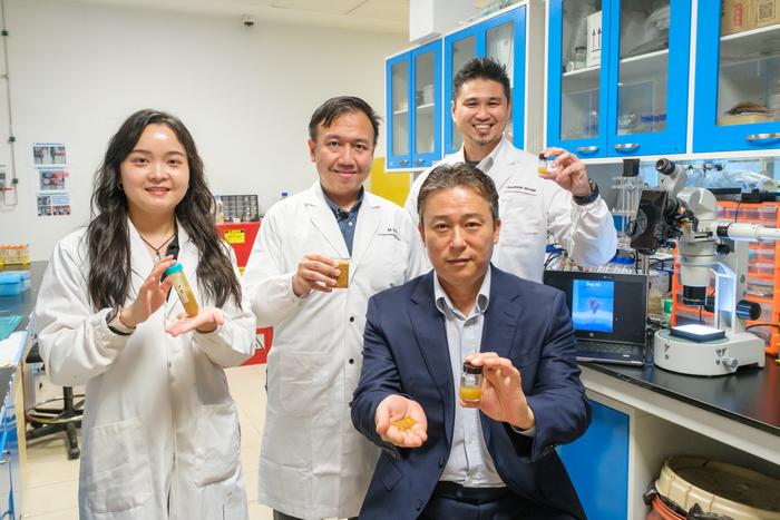 Первое в мире УФ-средство не навредит кораллам: создан солнцезащитный крем из пыльцы, полученной из цветков камелии