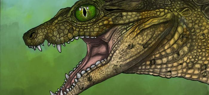 Элтон жил на суше. Окаменелость вымершего представителя семейства крокодиловых изучили исследователи