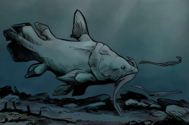 «Плавали» в музеях почти 150 лет. «Живые ископаемые» рыбы прятались, хотя были на виду у всех