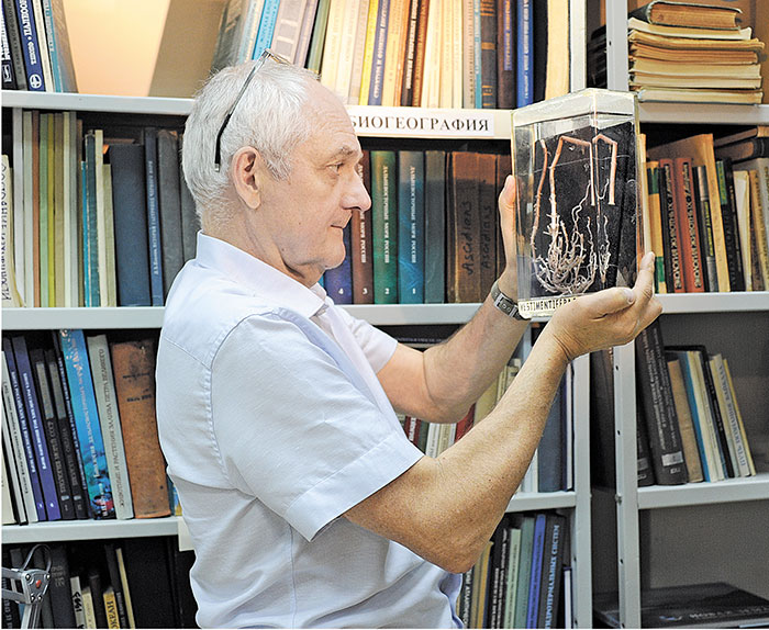 Под темной водой