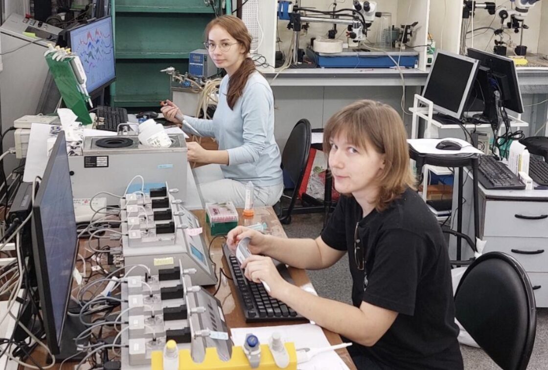 Мыши с орбиты. Исследователи изучили особенности работы сердца грызунов, побывавших на МКС