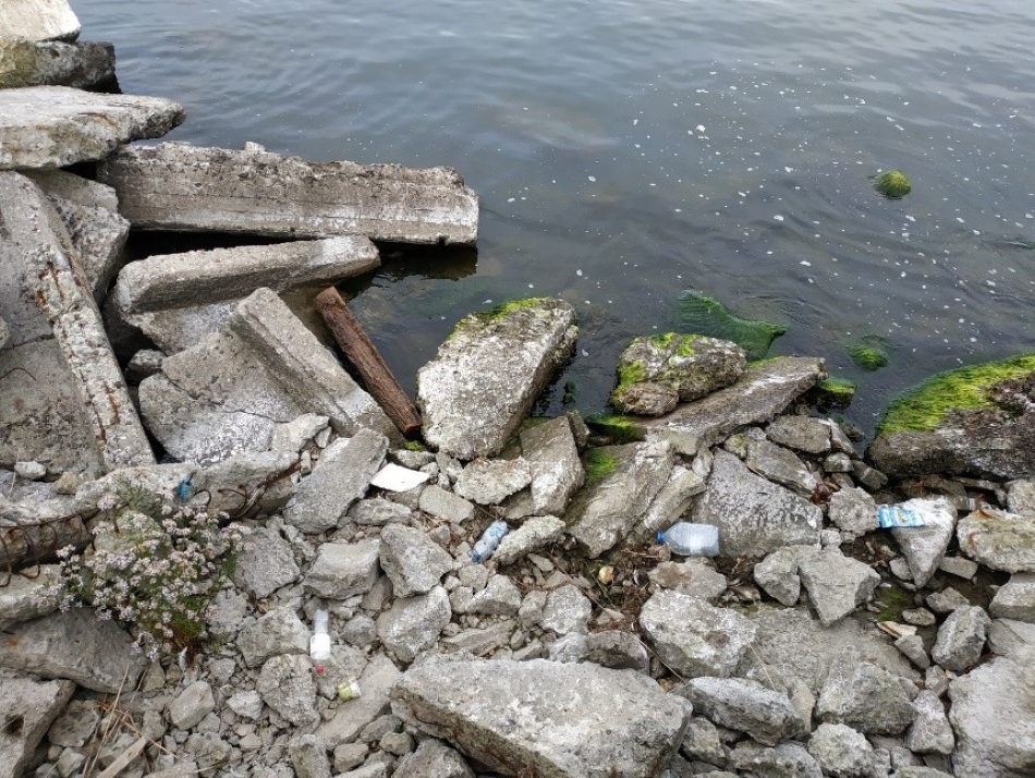 Природный фильтр. Эстуарии и устья рек защищают океаны от попадания в них микропластика