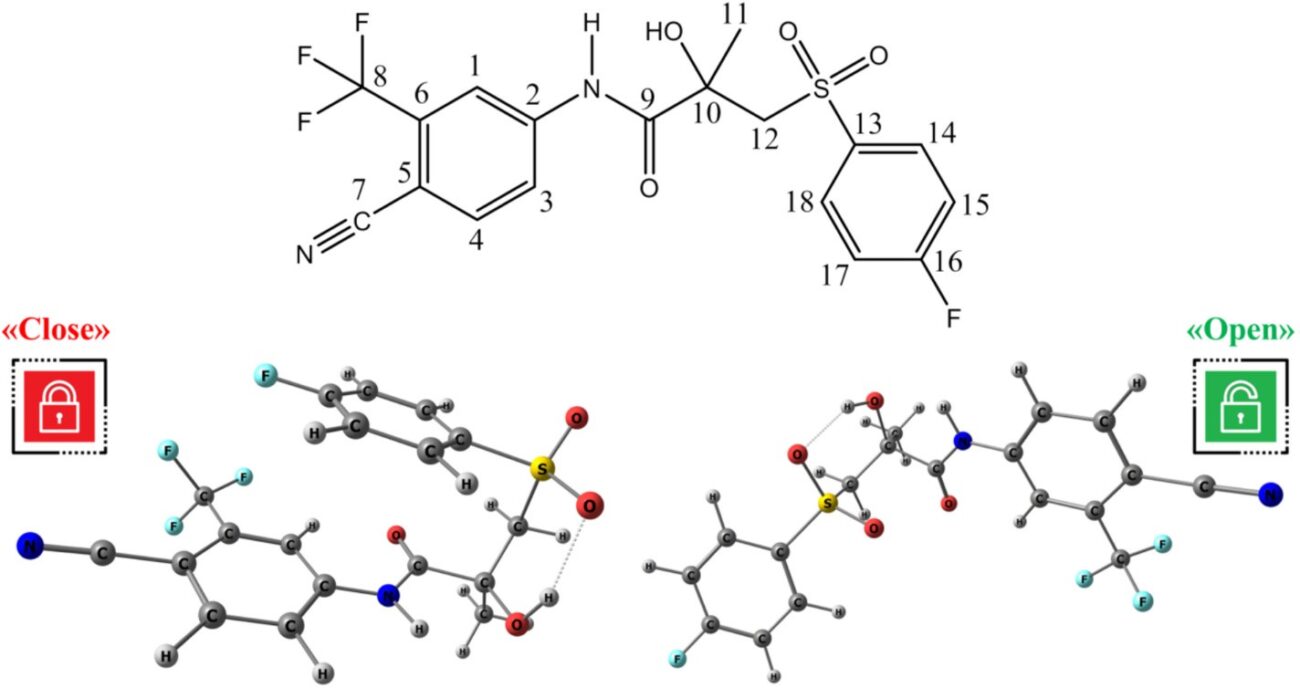 Сверхкритический флюид поможет «настраивать» пространственную структуру противоопухолевых препаратов