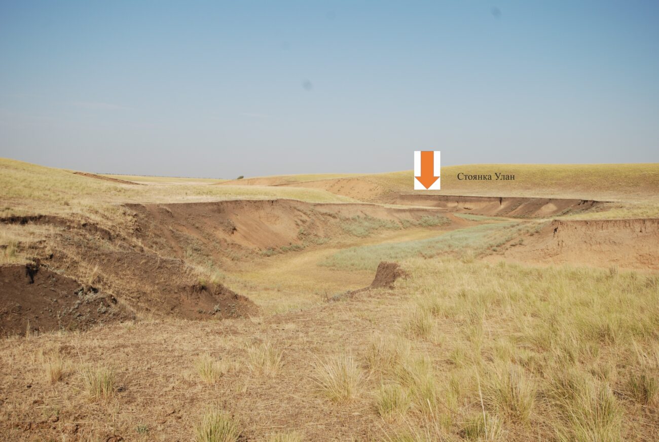 Стоянки и захоронения. Ученые выяснили, из чего возводили жилища кочевники эпохи бронзы