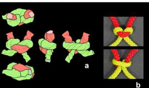 Древние отпечатки. Сложное строение рыболовных сетей восстановлено с помощью рентгеновской компьютерной томографии