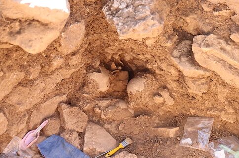 Камеры с черепами. Открытия переписывают историю перехода от кочевого образа жизни к оседлым общинам