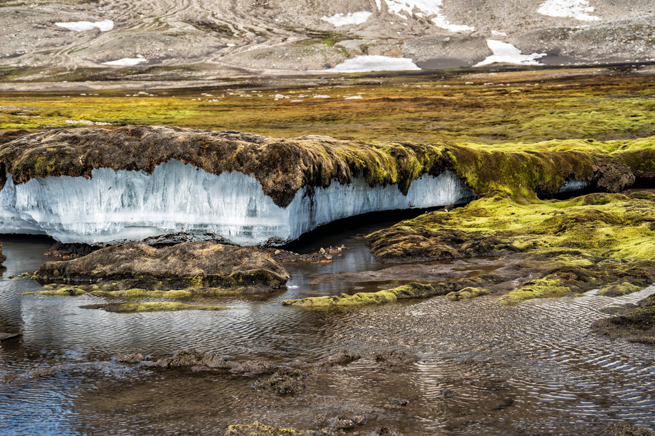 Останется ли вечная мерзлота вечной? И как ученые помогают решать проблемы, вызванные ее таянием
