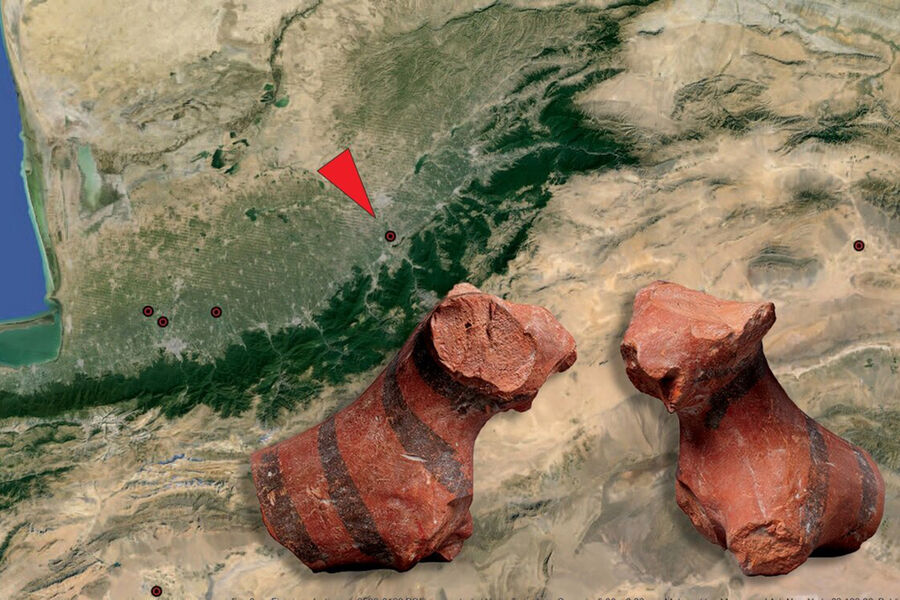 Уникальная находка. Первое из известных изображение тигра, датируемое 3500 годом до н.э., найдено в Иране