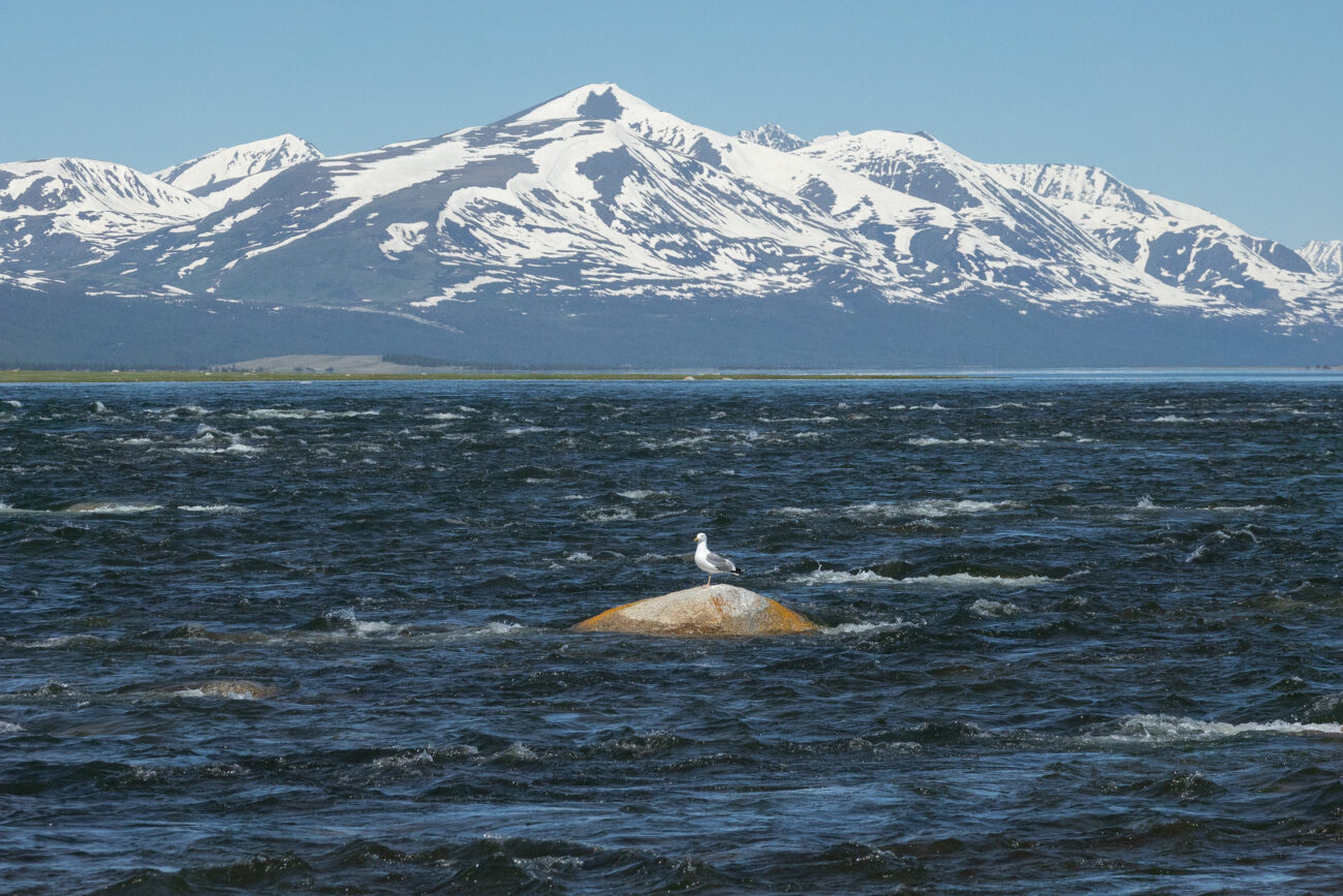 Российские ученые выполнили экспедицию по комплексному исследованию морских экосистем Камчатки
