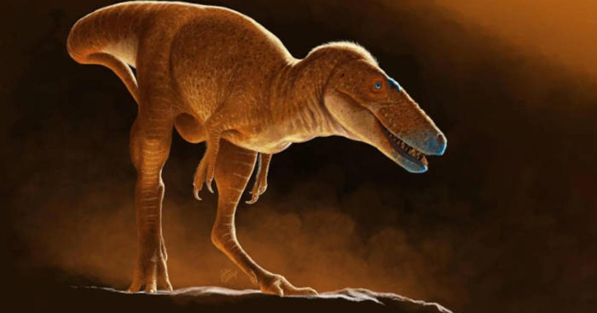 «Принц Драконов». Открытие нового вида тираннозавра переписывает генеалогическое древо T. rex