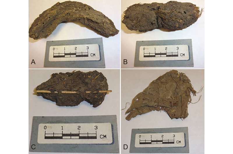 Возраст экскрементов превышает 1000 лет: ученые выяснили, какие инфекции поражали древние народы Мексики