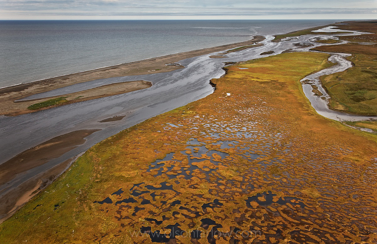Болота Камчатки удивили ученых. Они тихо влияют на климат всей планеты