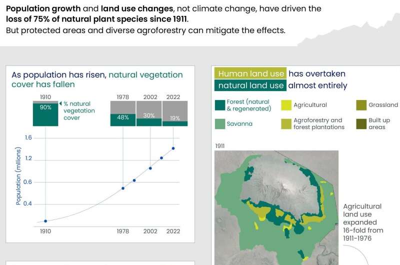 За последние 100 лет. Ученые выяснили, что явилось причиной потери Килиманджаро 75% своих естественных видов растений