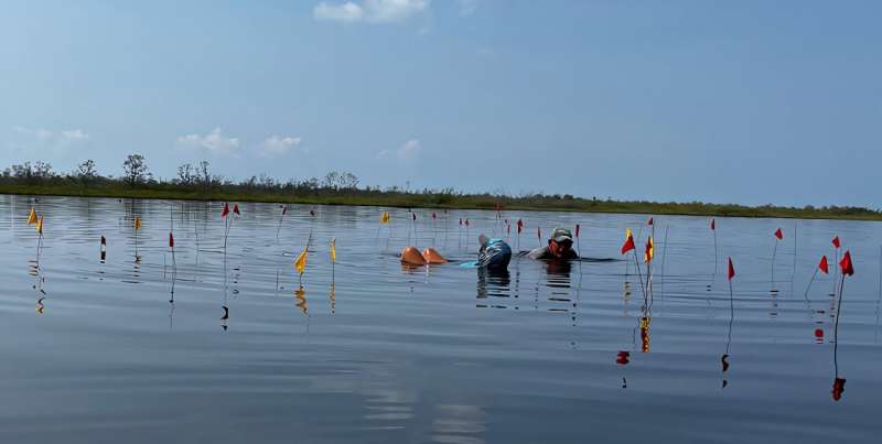 Уникальная находка в лагуне. Под водой обнаружен сохранившийся солеварный комплекс майя