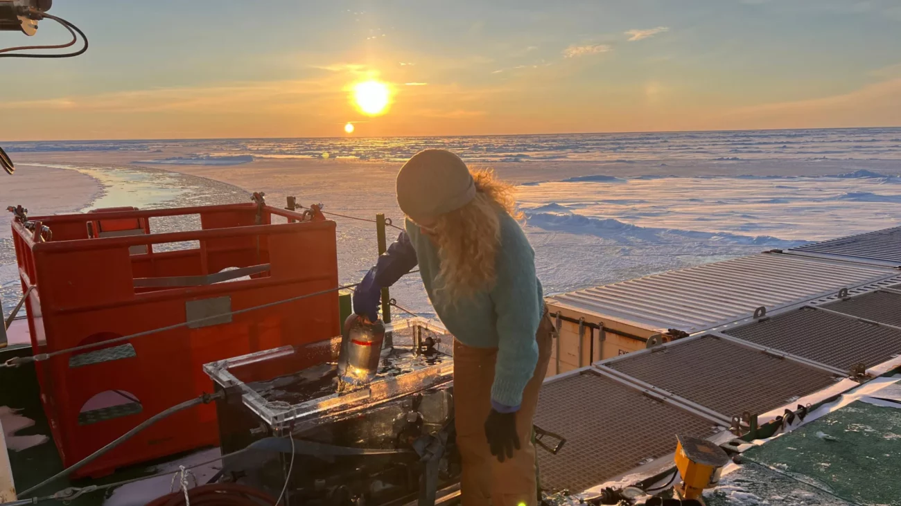 Источник азота. Ученые впервые обнаружили скрытую жизнь, процветающую подо льдами Арктики