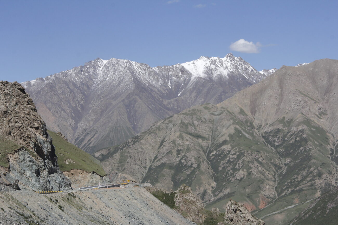 Неизвестные виды лишайников. В ходе экспедиции в Китай ученые РФ сделали удивительные находки