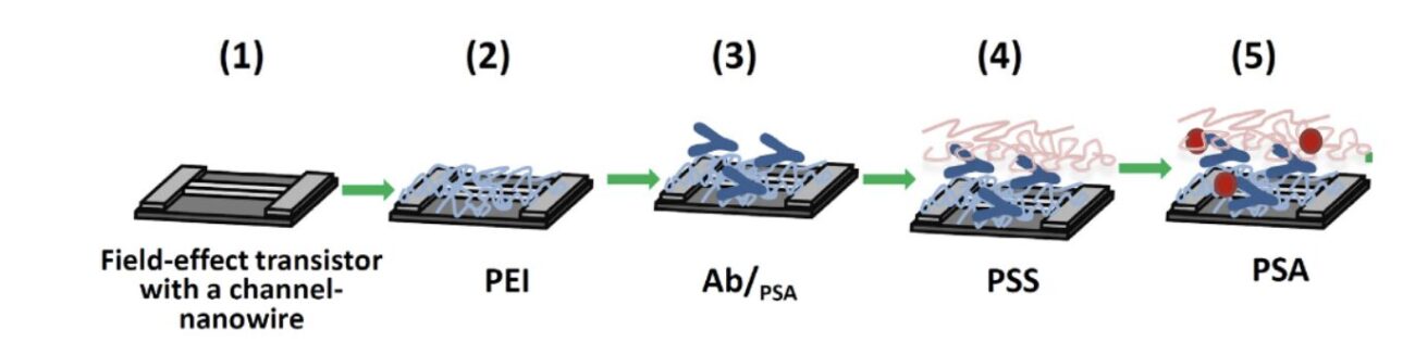 Анализ биомаркеров патологий: новые достижения в разработке биосенсоров для экспресс-анализа