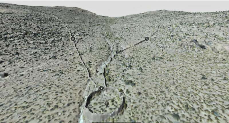 Охота на викунью. Древние охотничьи ловушки обнаружили благодаря спутниковым снимкам