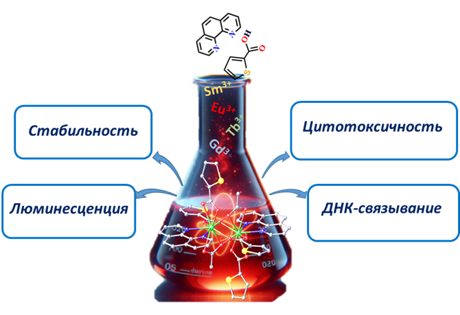 На основе редкоземельных металлов. Созданы перспективные соединения для онкотерапии и биовизуализации