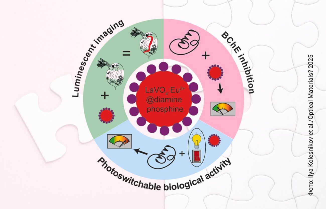 Можно управлять с помощью лазера. Создано водорастворимое соединение для таргетной терапии болезни Альцгеймера