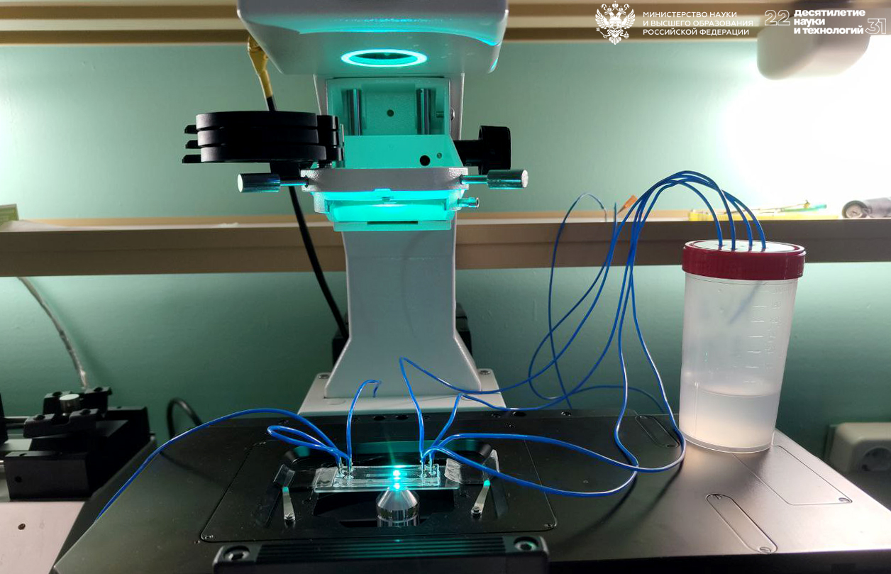 Для биомедицинских приложений. Сибирские ученые создают микрофлюидную систему для репродуктивной медицины