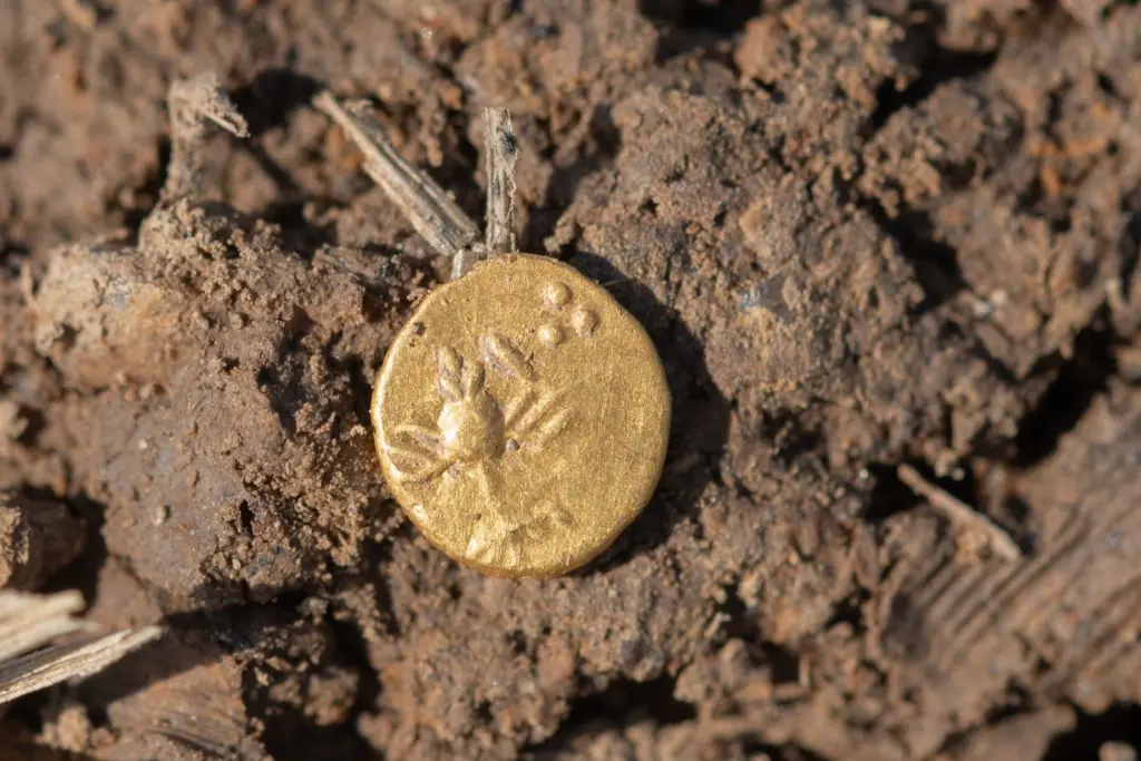 Сокровища кельтов нашли в Европе. Учёные держат точное место в секрете.