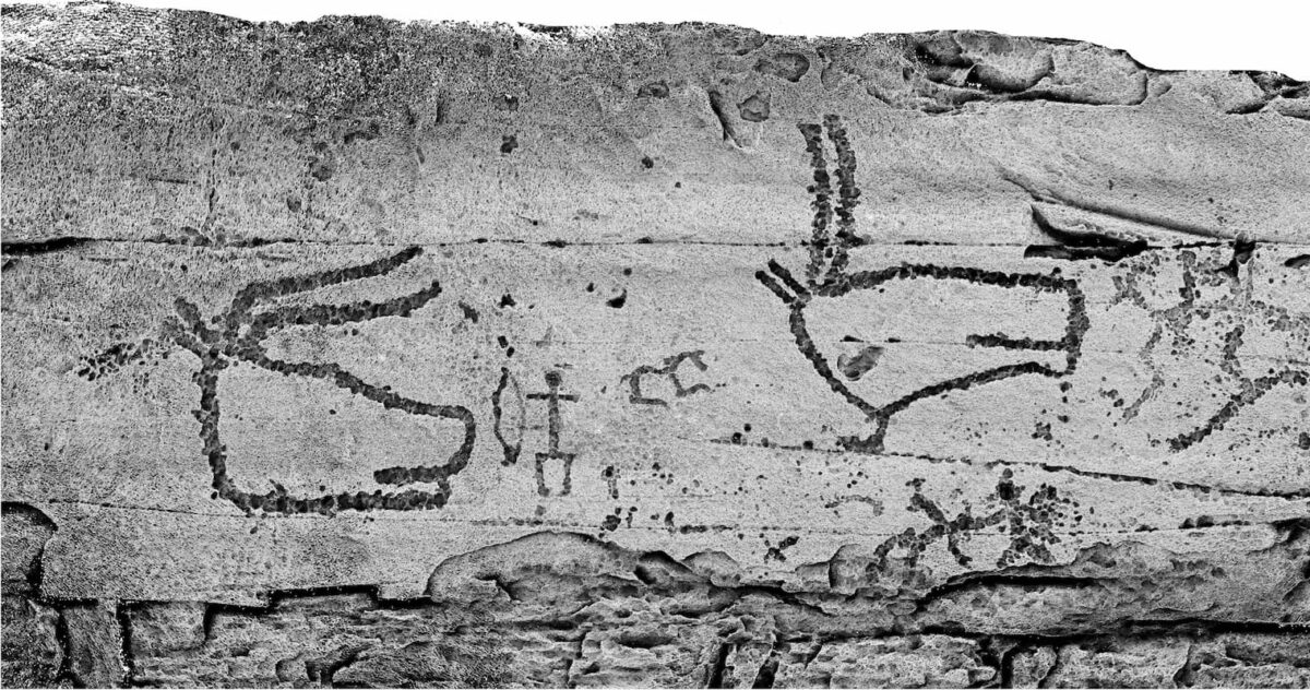 Проводники в загробный мир. Необычные 4000-летние изображения животных обнаружены на камнях