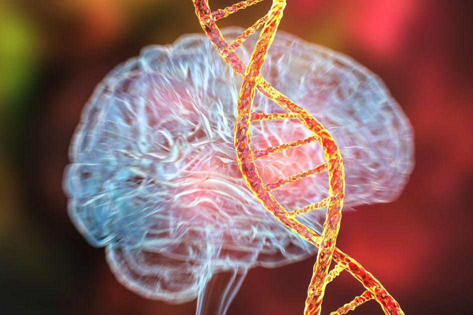 Ученые МГУ: тяжесть когнитивных нарушений при шизофрении связана с вариантом гена COMT