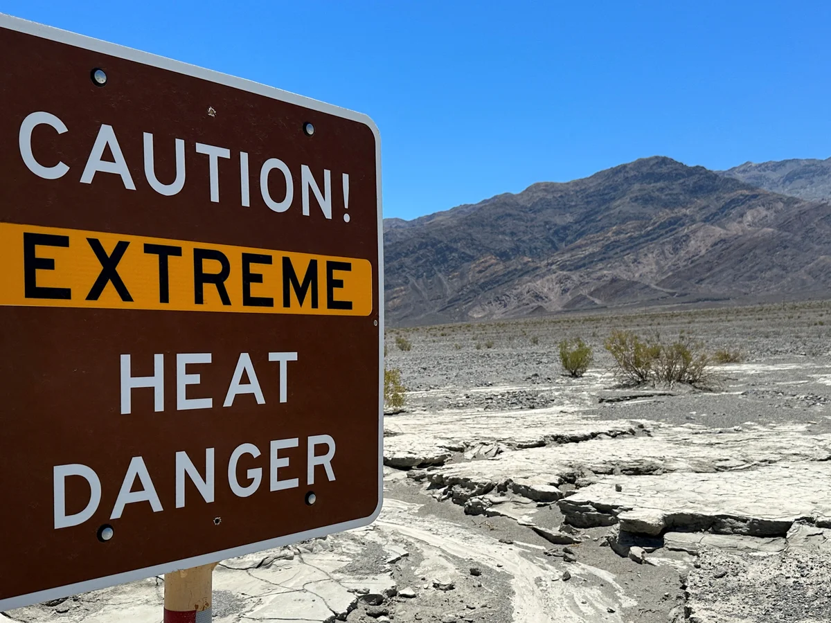 Долина Смерти. Как одно растение обмануло законы природы.