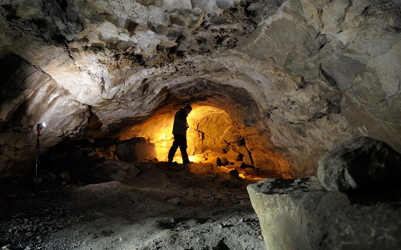 Находка в пещере. Новое открытие переписывает историю доисторической дикой природы Ирландии