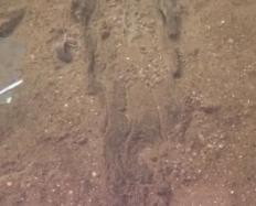 Подводная «парковка». Древние мастера были знакомы с биоинженерией, выяснили ученые