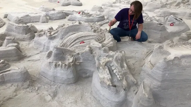 Выжили после вулканического извержения. Обнаружены следы животных, поедавших «Носорогов Помпеи»