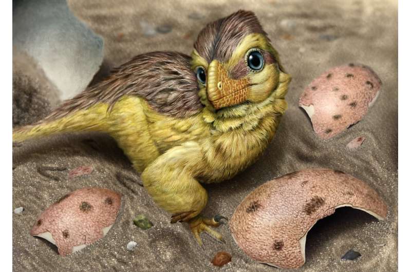 Время в палеонтологической летописи. Определить его поможет скорлупа яиц динозавров