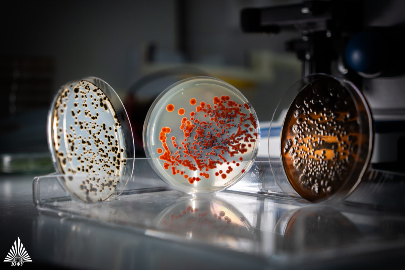 Жизнь вне Земли: ученые отправили в космос «микробную команду» для восстановления почв Марса и Земли