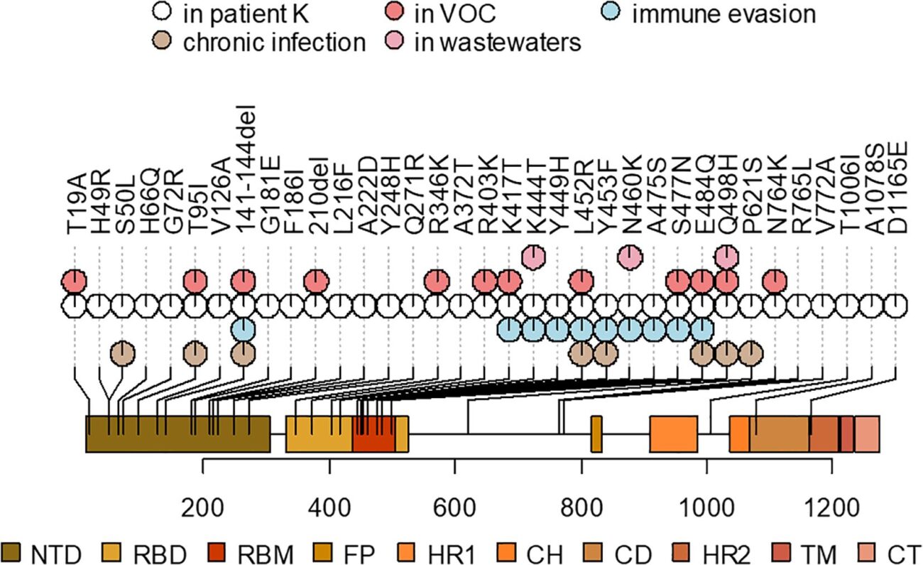 Хроническая инфекция. Исследователи  обнаружили один из самых долгих случаев ковида