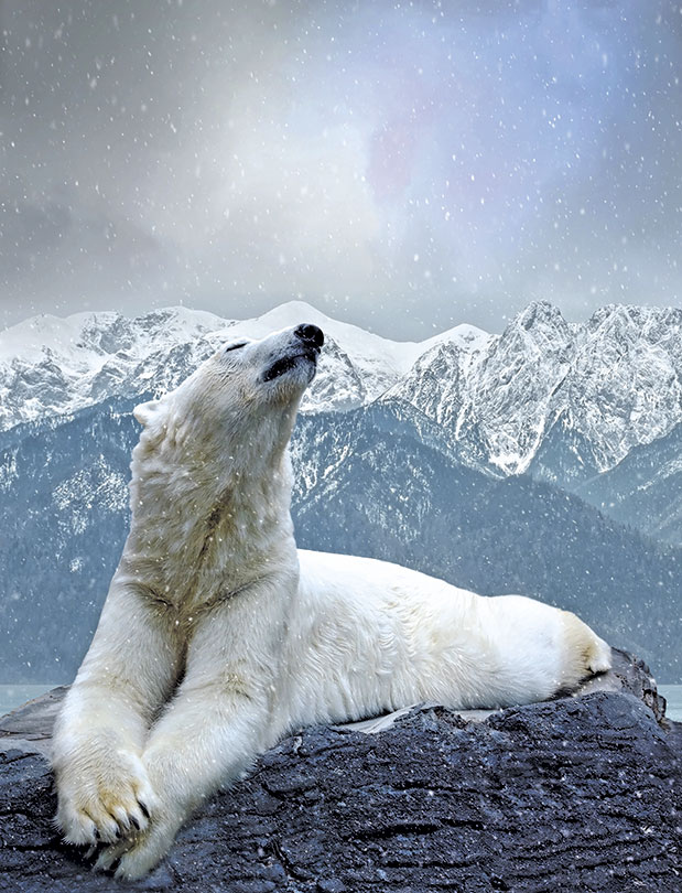 В интересах Севера. Приоритеты ФИЦ ЯНЦ СО РАН направлены на развитие арктических территорий