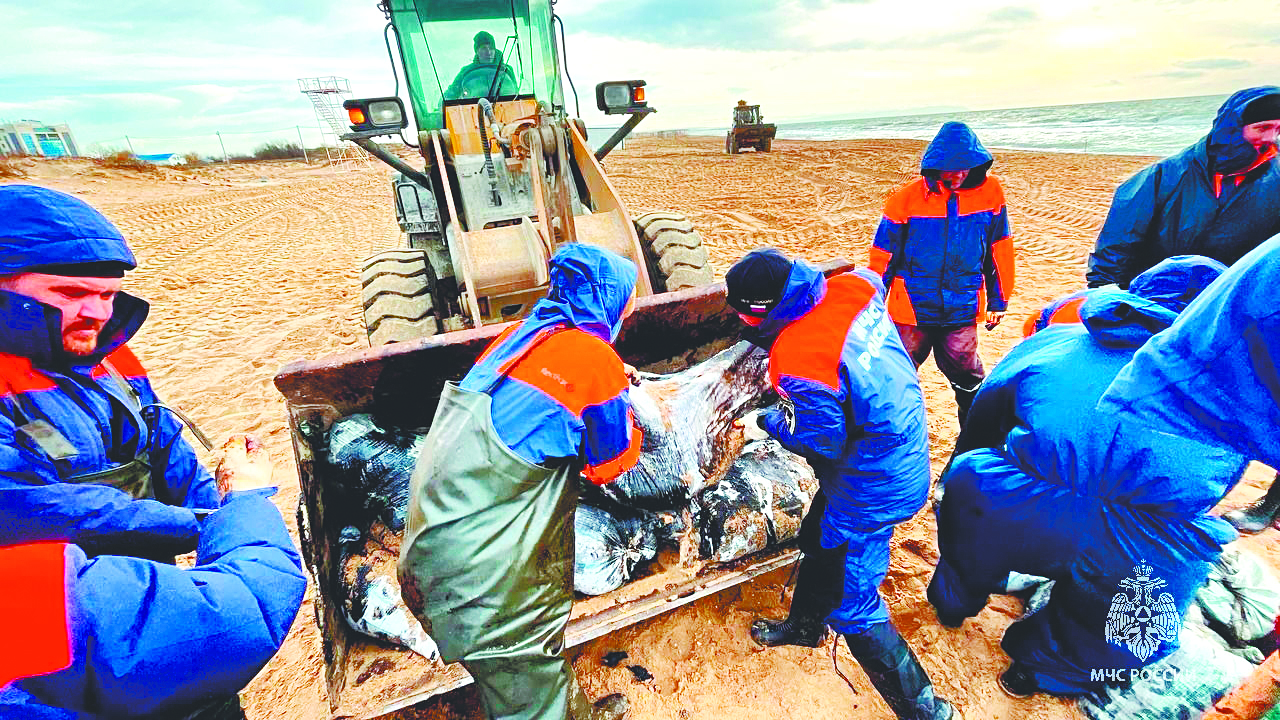 Остановить мазут! 900 тонн нефтепродуктов вновь приближаются к берегам Анапы