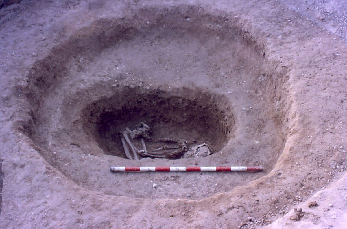 Открытие зооархеологов: ритуал отличается от общепринятого во время раннего железного века