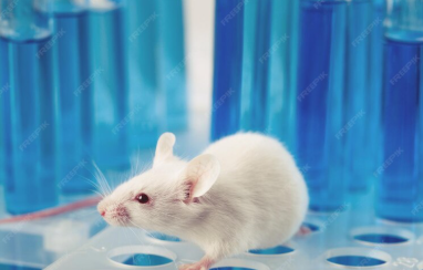 Слишком активные препараты. Японские ученые назвали причины неудач при лечении рака