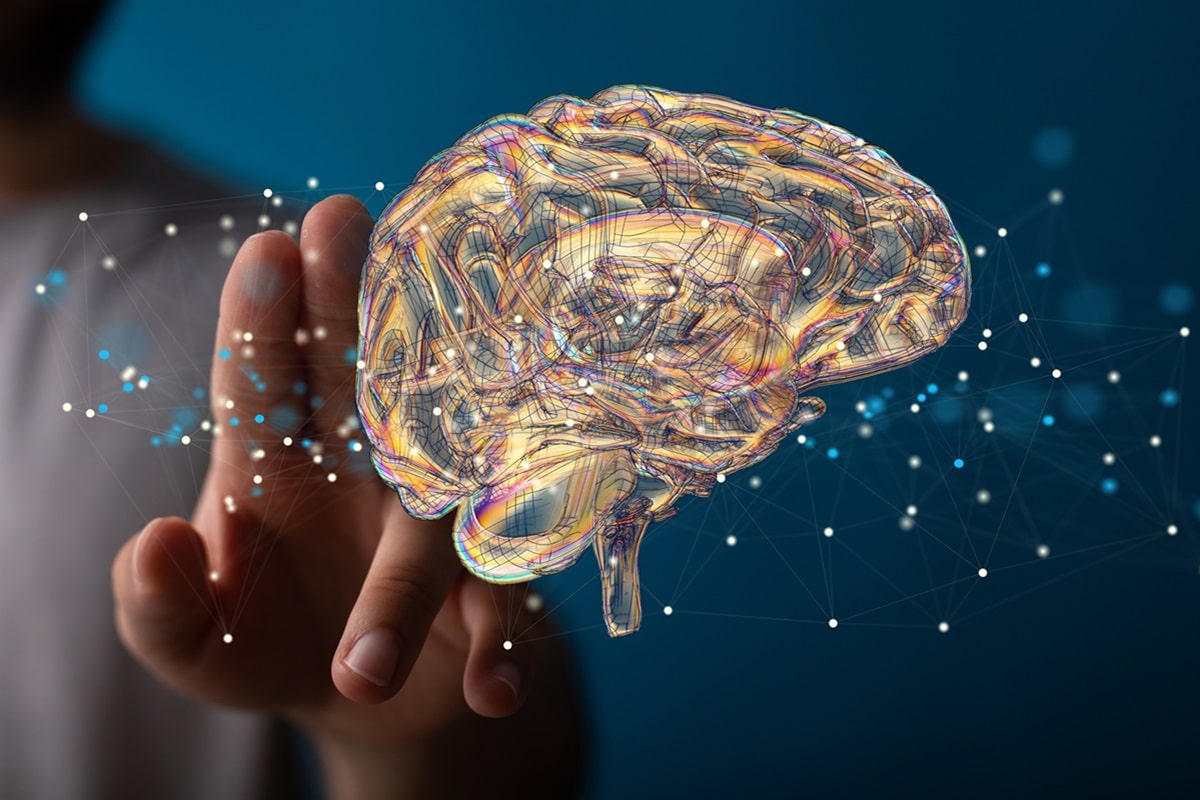 Не просто ум, а структура. Учёные узнали, как думают гении.