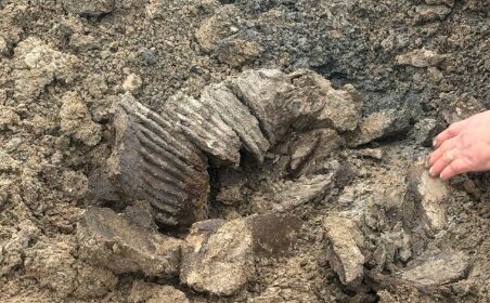 Палеонтологическая сенсация. Кости возрастом 14 тыс. лет «выловлены» во время рыбалки