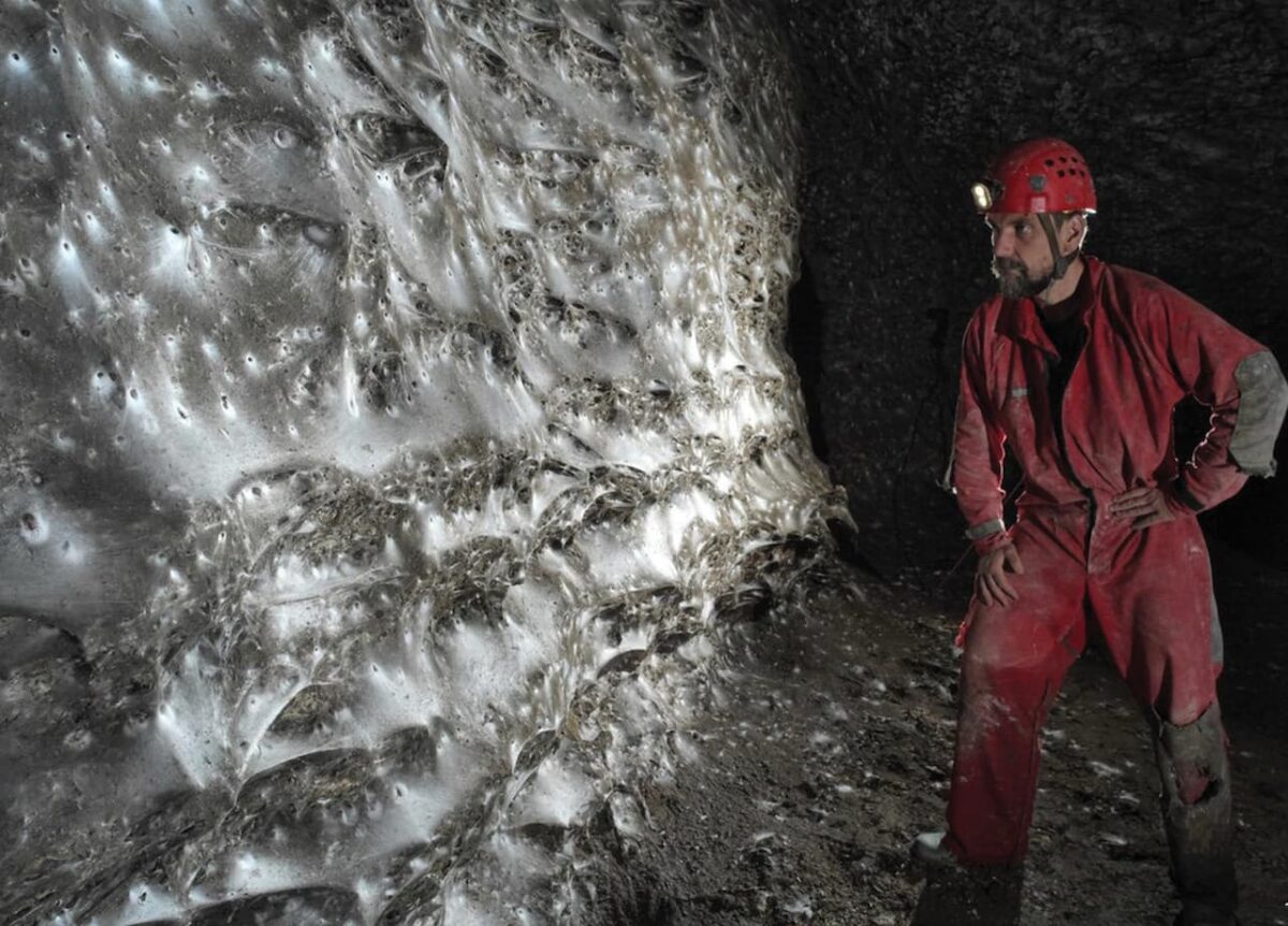 Самая большая в мире паутина: обнаружена колония из более чем 100 000 пауков, которые строят «мегаполис»