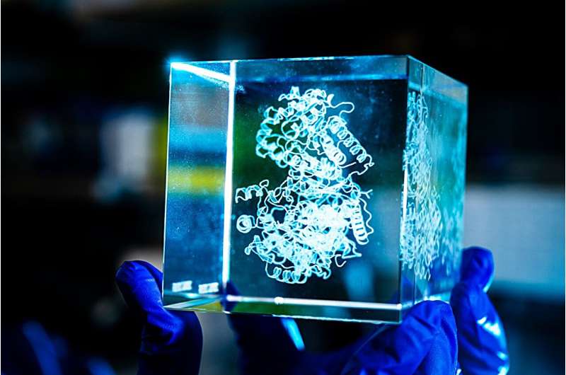 Смертельно опасное. Исследователи расшифровали химию редкого генетического заболевания