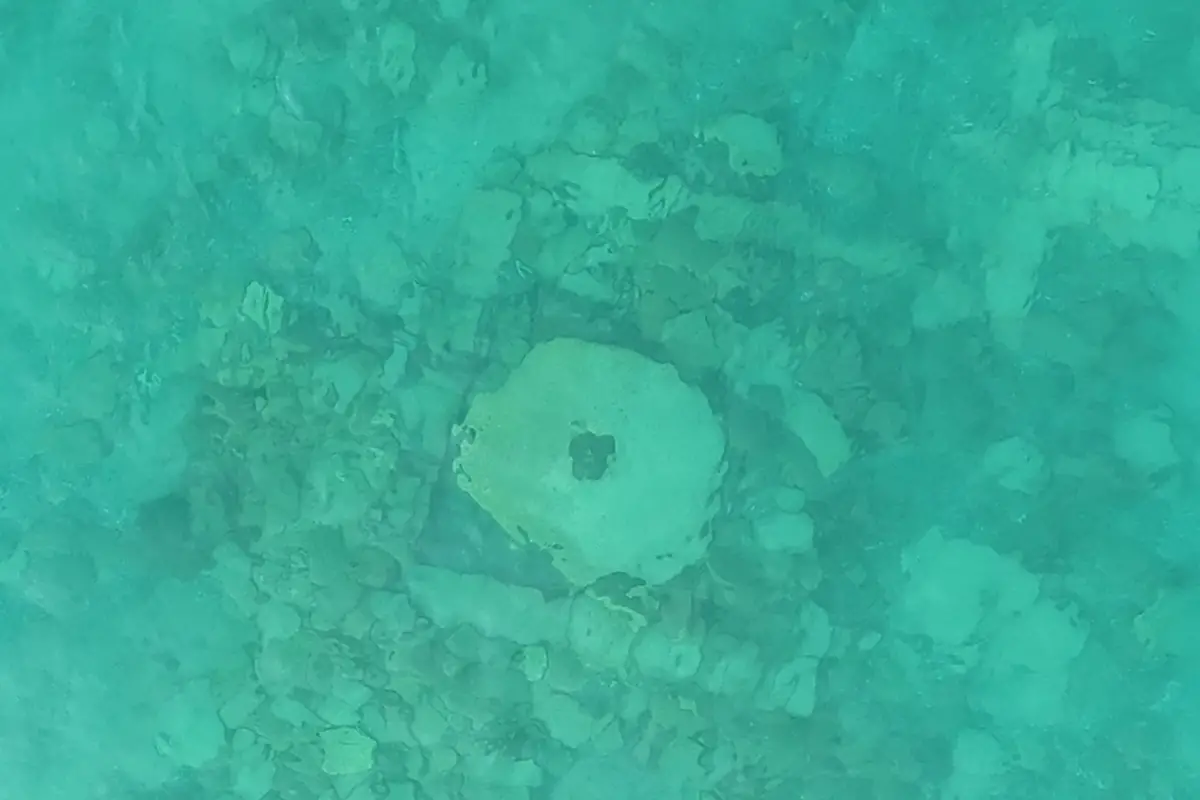 Средневековое кладбище, жернова и керамика: ученые РАН обнаружили следы затопленного города