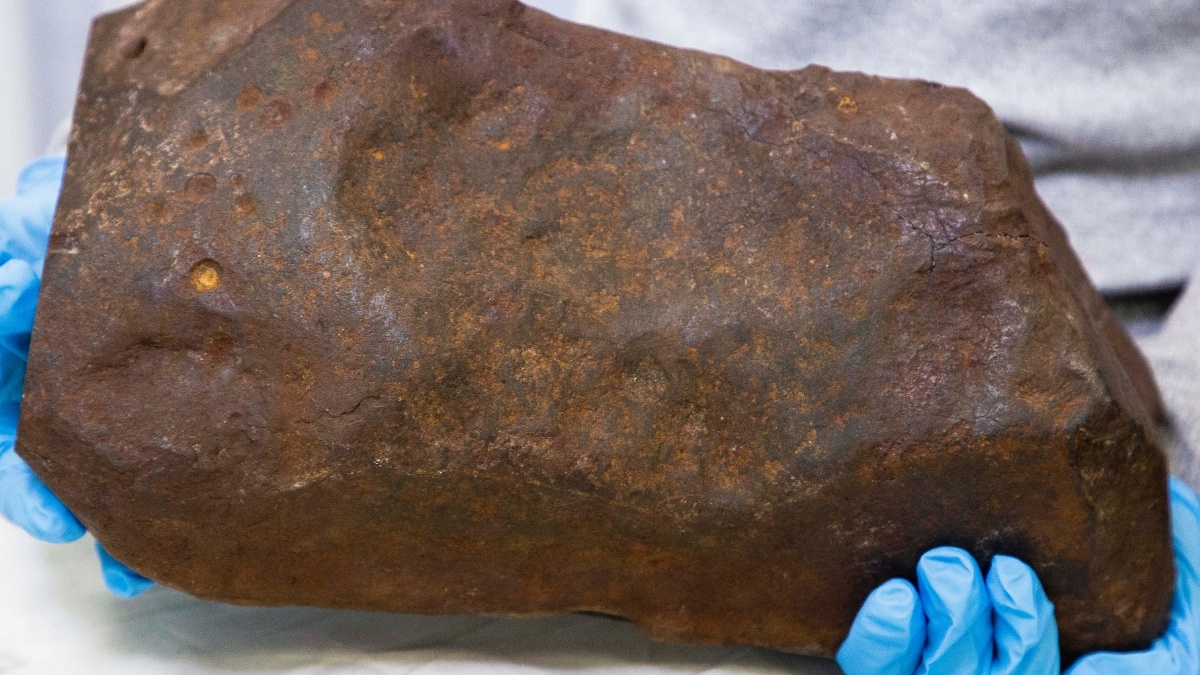Тяжёлый «самородок» из парка. В музее выяснили, что это метеорит, а не золото