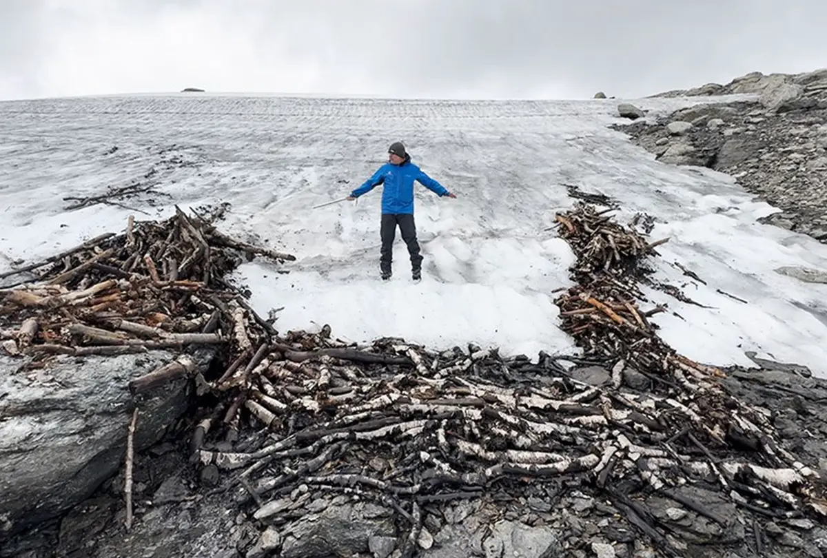 Многовековые льды открывают тайны. Обнаружена 1500-летняя деревянная ловушка для оленей