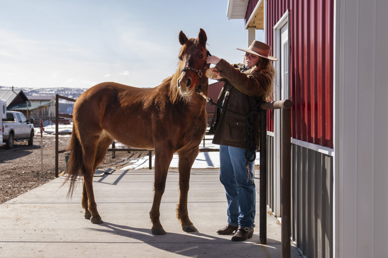 История американских лошадей переписана: коренные общины Штатов начали ездить верхом на 100 лет раньше
