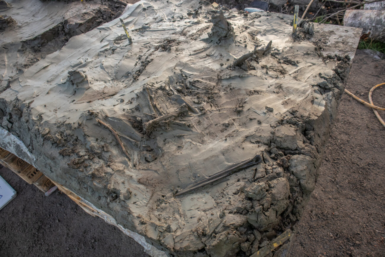 Находки из каменного века. 5000-летнее озеро открывает тайны