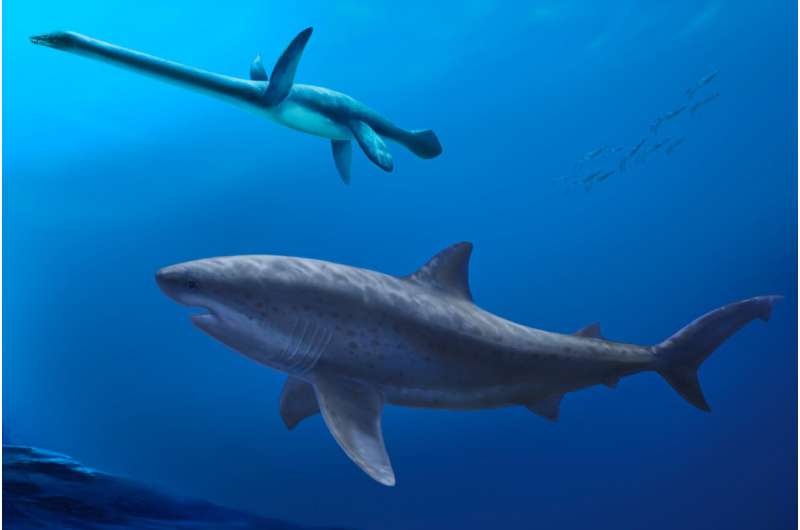 Мегахищники: древние супер-акулы правили австралийскими морями за 15 миллионов лет до появления мегалодона